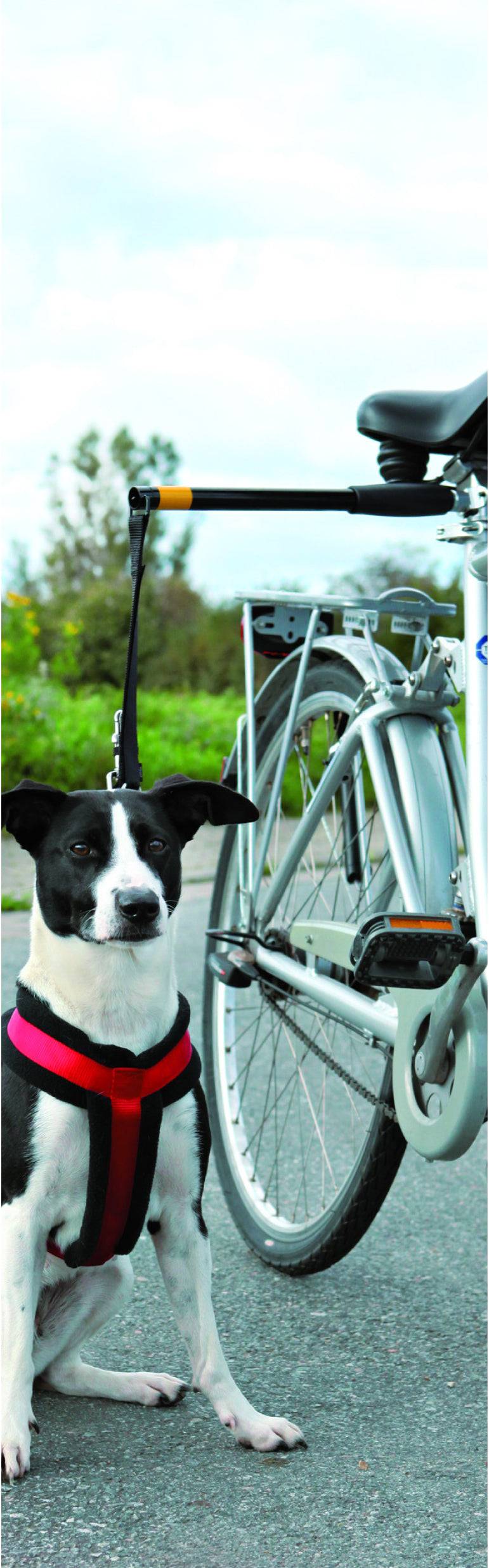 Pawise Fahrrad Hundeleine, Hands Free, Abstandhalter, reflektierend, stabil, für große Hunde