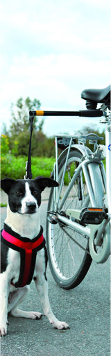 Pawise Fahrrad Hundeleine, Hands Free, Abstandhalter, reflektierend, stabil, für große Hunde