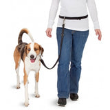 Pawise Hands-free Hundeleine, Jogger Kit, reflektierend, für Hunde bis 40 kg