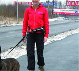 Pawise Hands-free Hundeleine, Jogger Kit, reflektierend, für Hunde bis 40 kg
