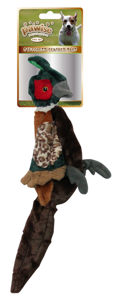 Pawise Hundespielzeug, Plüsch, Fasan, ohne Füllung, mit Quietscher, S, 37 cm