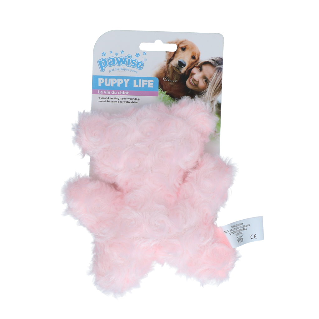 Pawise Welpenspielzeug Bär, Plüsch, mit Quietsche (zufällige Farbe)