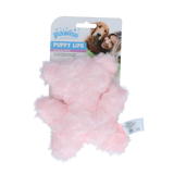 Pawise Welpenspielzeug Bär, Plüsch, mit Quietsche (zufällige Farbe)