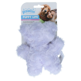 Pawise Welpenspielzeug Bär, Plüsch, mit Quietsche (zufällige Farbe)