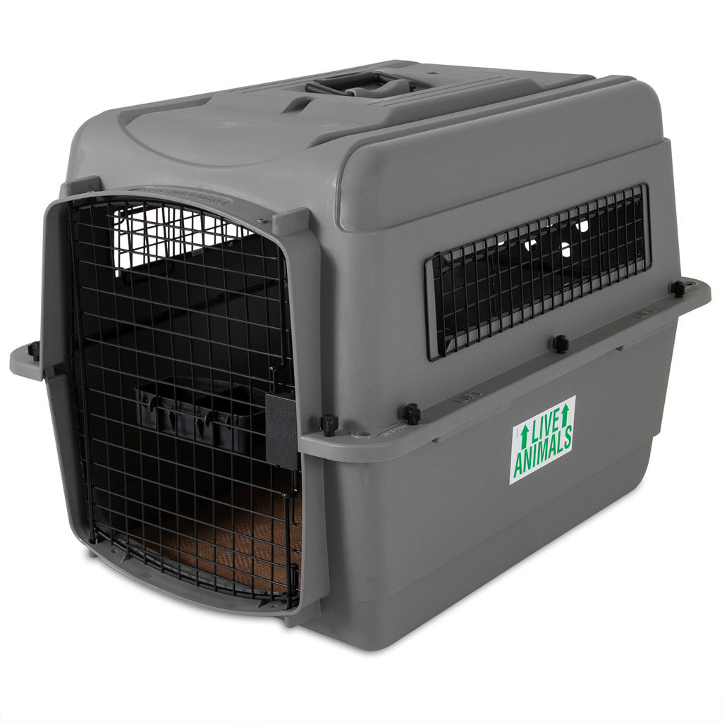 Petmate Sky Kennel Hundebox, 71 x 52 x 54 cm, für 11–14 kg