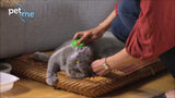 Pet+Me Katzenbürste, Langhaar, grün