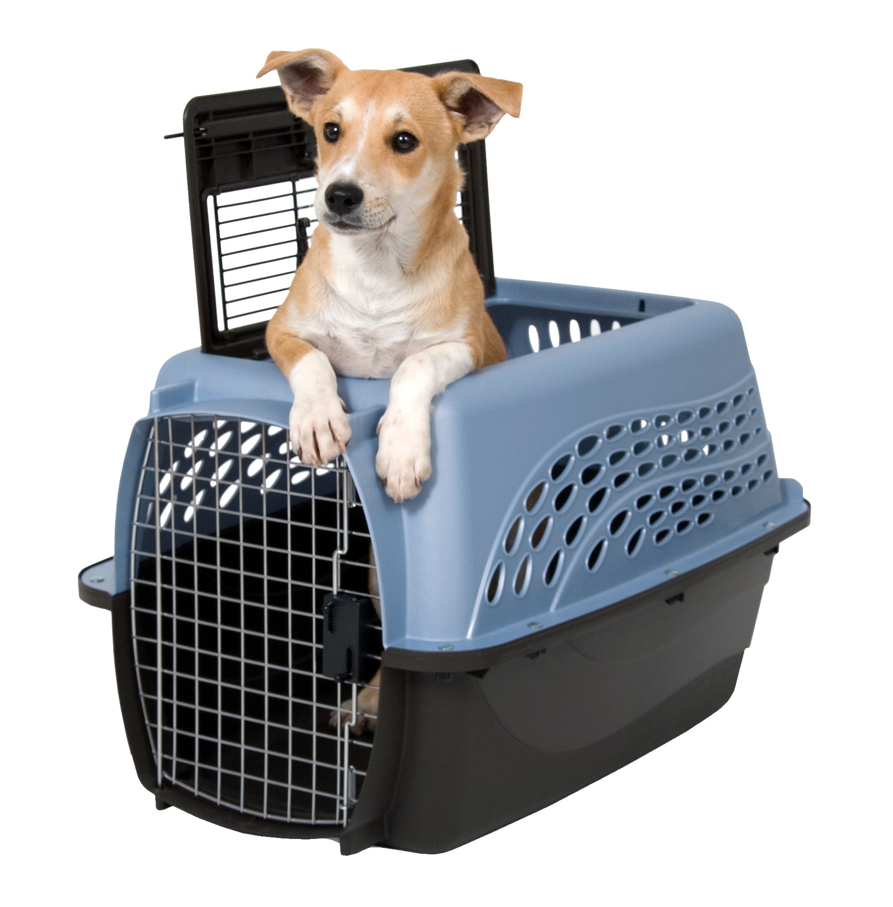 Petmate Transportbox, 2 Türen, Blau, Größe S, 61,2 x 42,4 x 36,8 cm