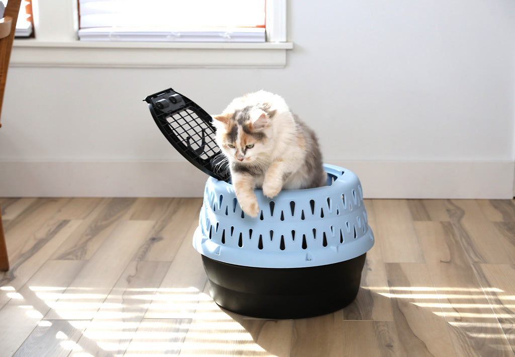 Petmate Katzentransportbox Get-A-Round, rund, Kunststoff, blau, bis 9 kg, 22,9 x 48,3 x 33 cm
