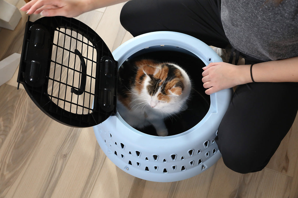 Petmate Katzentransportbox Get-A-Round, rund, Kunststoff, blau, bis 9 kg, 22,9 x 48,3 x 33 cm