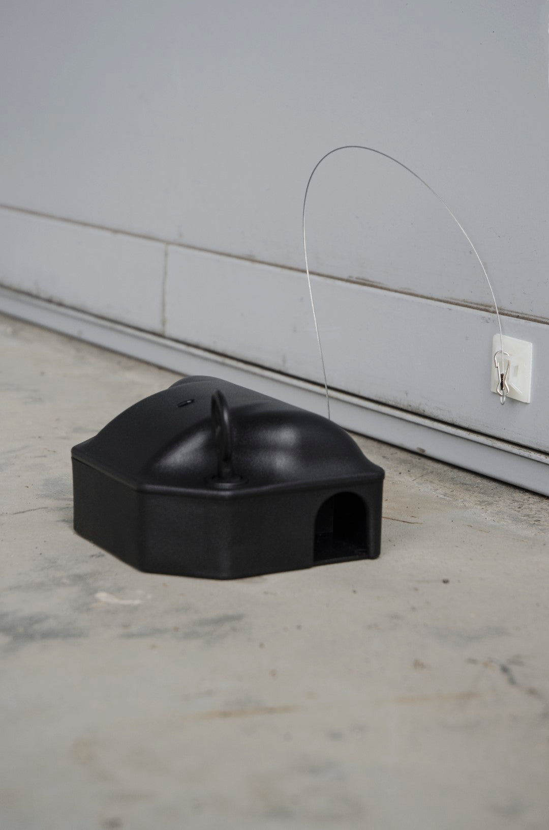 Köderbox Klebe-Anker, 25 cm, 10 Stk