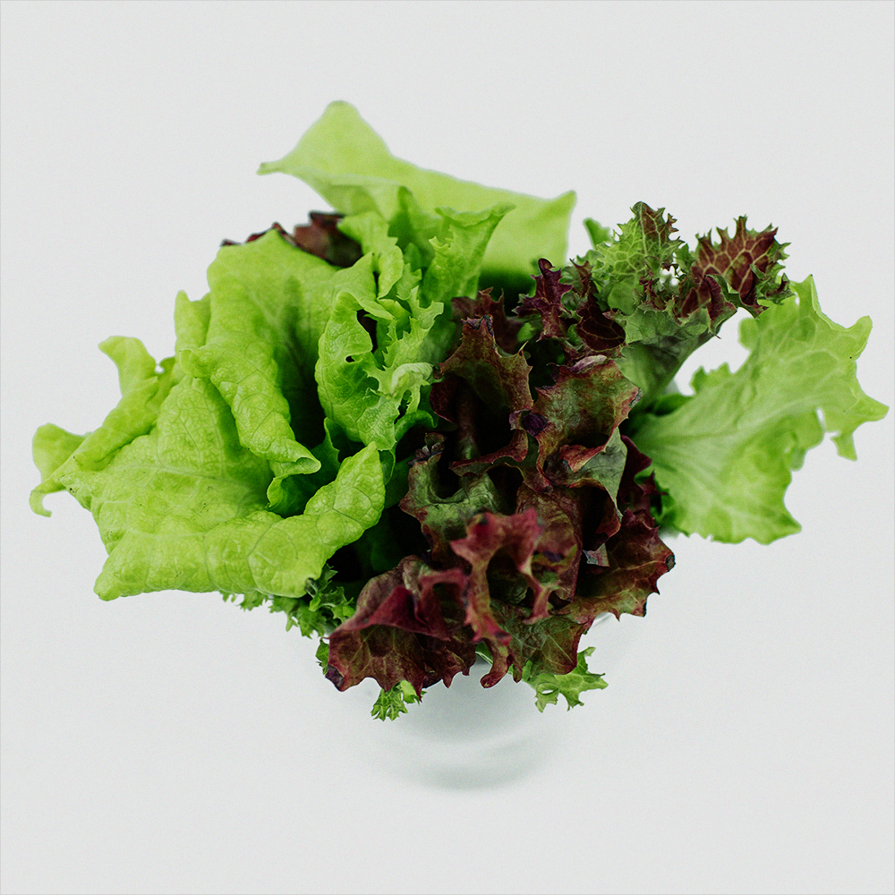 Pflücksalat