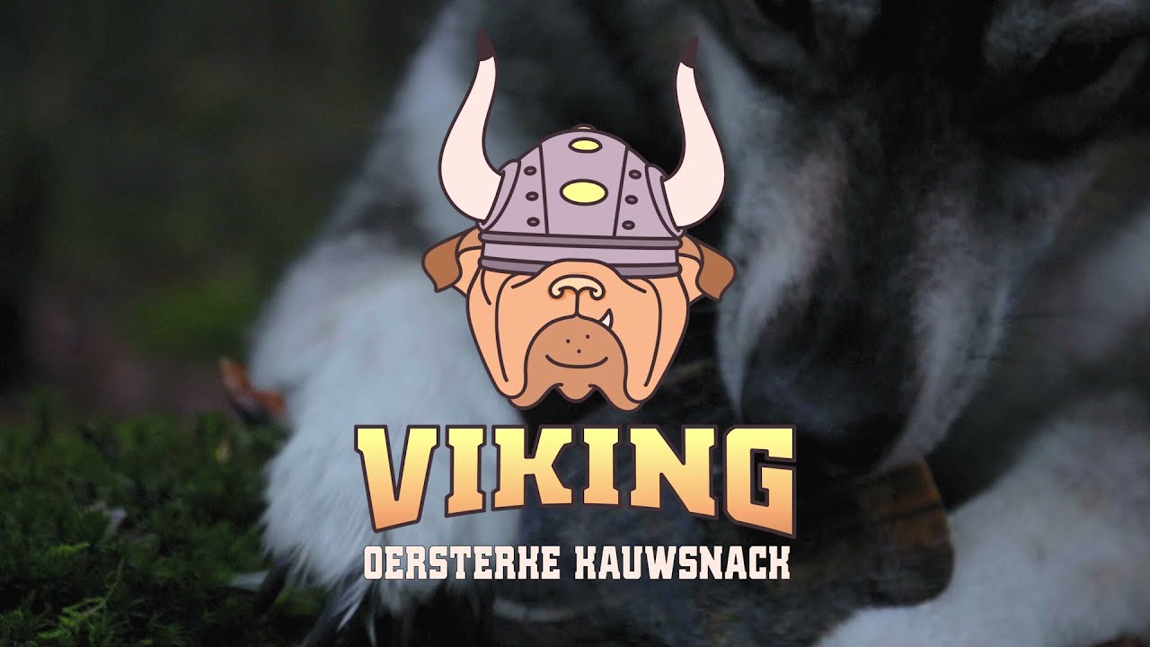 Viking Hundekaustange, Rinderhorn, Twist, Größe L