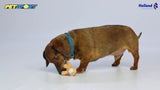 Petsport Hundespielzeug Knochen, TPR, Vanilleduft, schwimmend, Pickelstruktur, 10 cm, sortiert