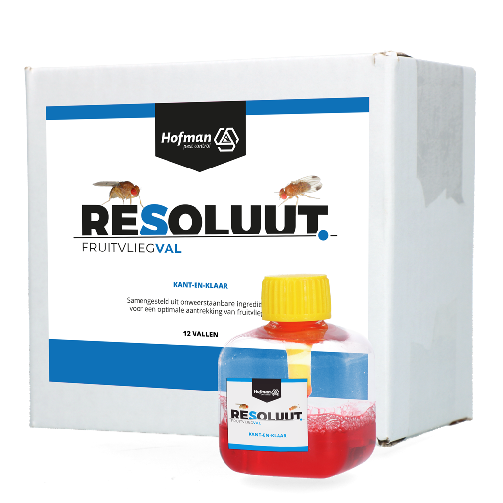 Resoluut Fruchtfliegenfalle, 12 Stk