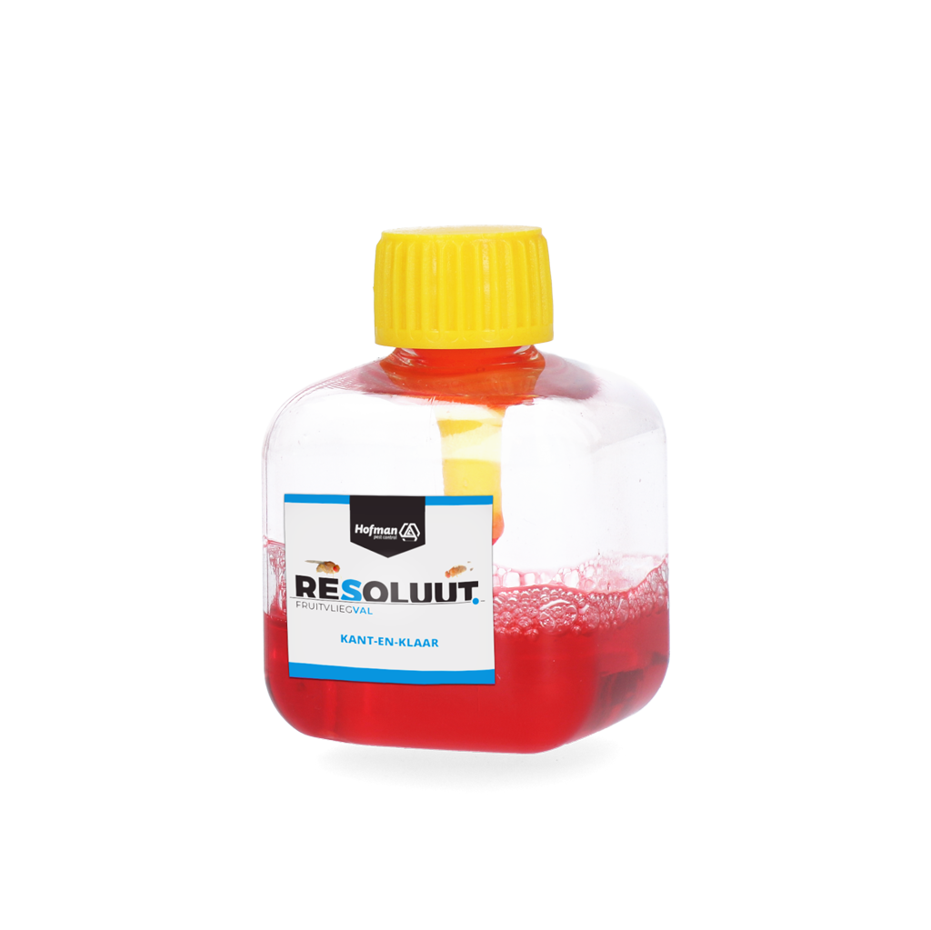 Resoluut Fruchtfliegenfalle, 12 Stk