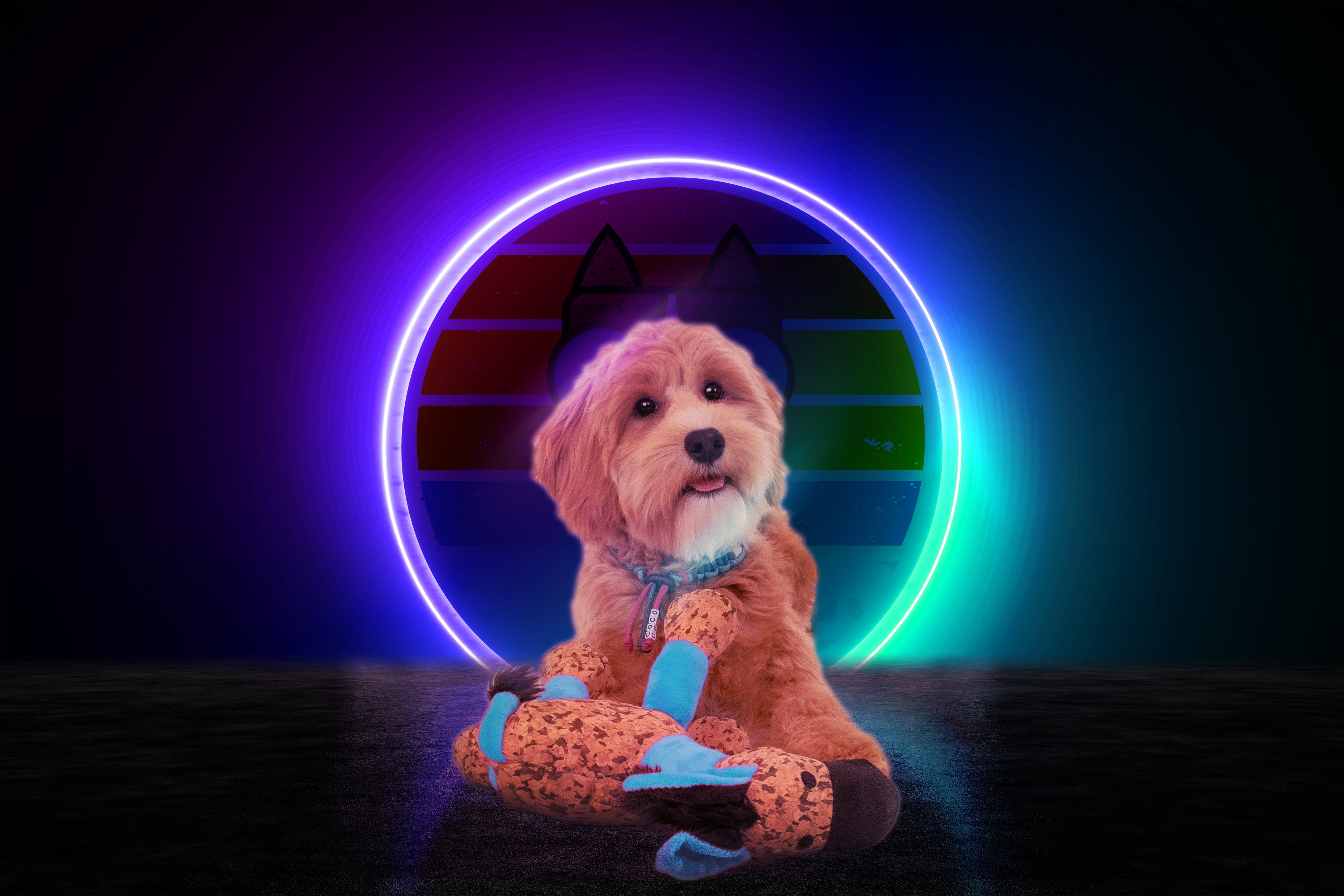 Retro Dog Hundespielzeug Donkey, Blau, S, 20 x 25 cm, mit Quietscher