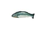 Robocat Katzenspielzeug Fisch Lachs, MADNIP-Füllung, USB aufladbar, 30 cm