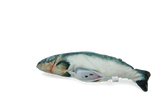 Robocat Katzenspielzeug Fisch Lachs, MADNIP-Füllung, USB aufladbar, 30 cm