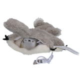 Robocat Katzenspielzeug Eichhörnchen, beweglich, mit Geräuschen, 3 Modi, Madnip, wiederaufladbar