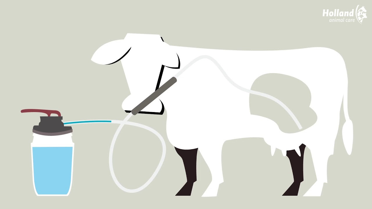 Excellent Pansenpumpe, 25 l, für Kühe