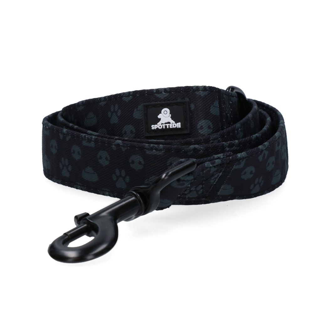 Spotted! Pro Hundeleine, Muskaton-Verschluss, D-Ring, 120 cm, dunkelgrau