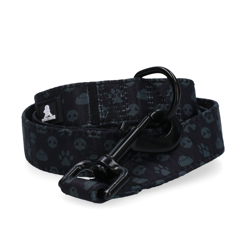 Spotted! Pro Hundeleine, Muskaton-Verschluss, D-Ring, 120 cm, dunkelgrau