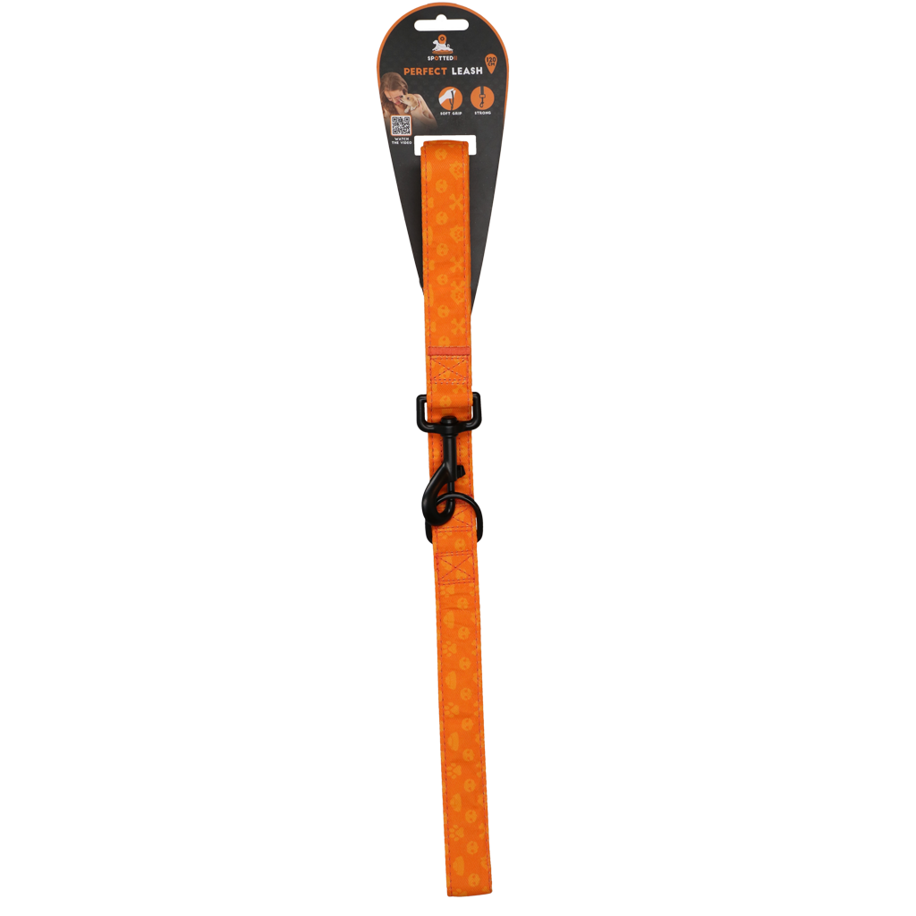 Spotted! Pro Hundeleine, Perfect Leash, 120 cm, Orange