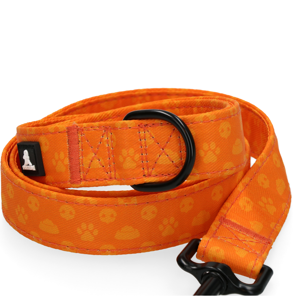 Spotted! Pro Hundeleine, Perfect Leash, 120 cm, Orange
