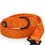 Spotted! Pro Hundeleine, Perfect Leash, 120 cm, Orange