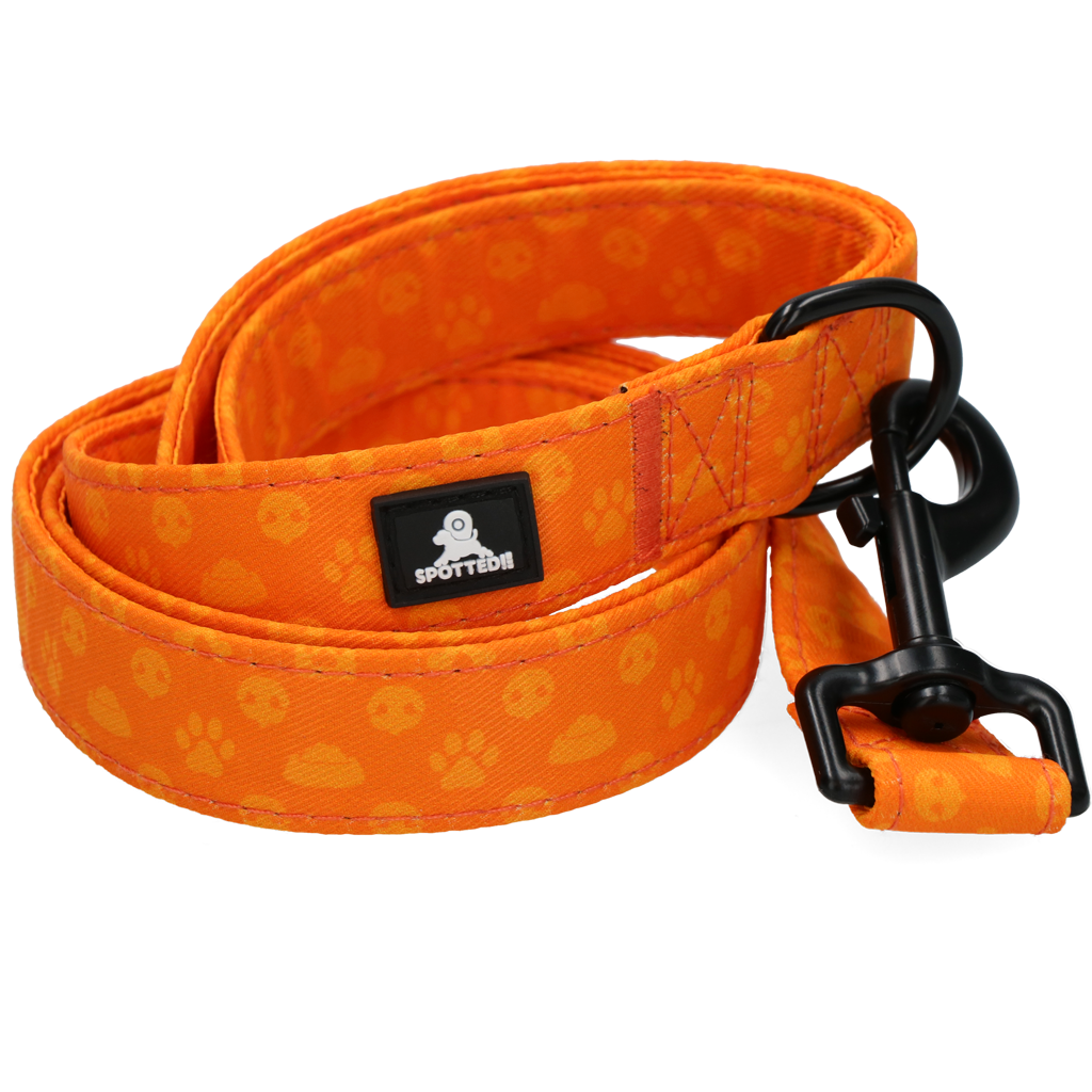 Spotted! Pro Hundeleine, Perfect Leash, 120 cm, Orange