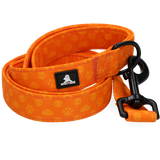 Spotted! Pro Hundeleine, Perfect Leash, 120 cm, Orange