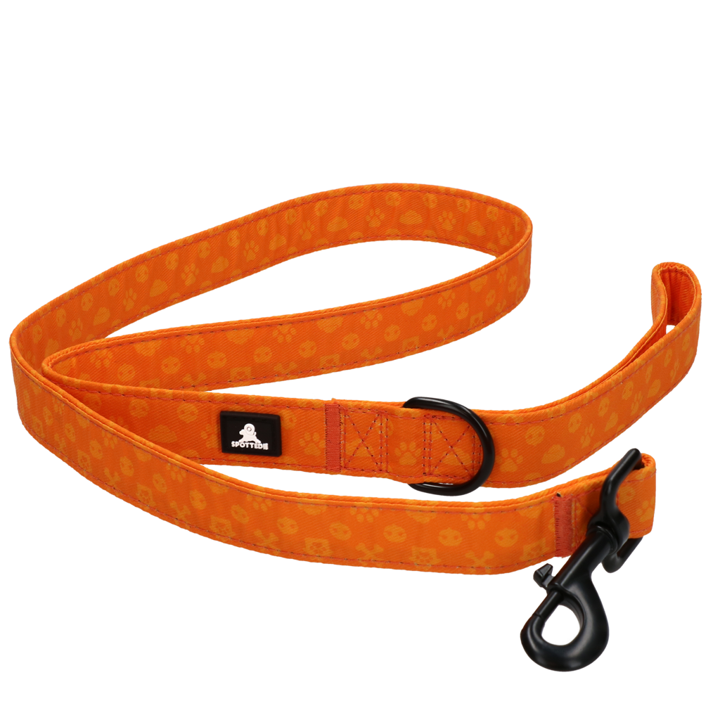 Spotted! Pro Hundeleine, Perfect Leash, 120 cm, Orange