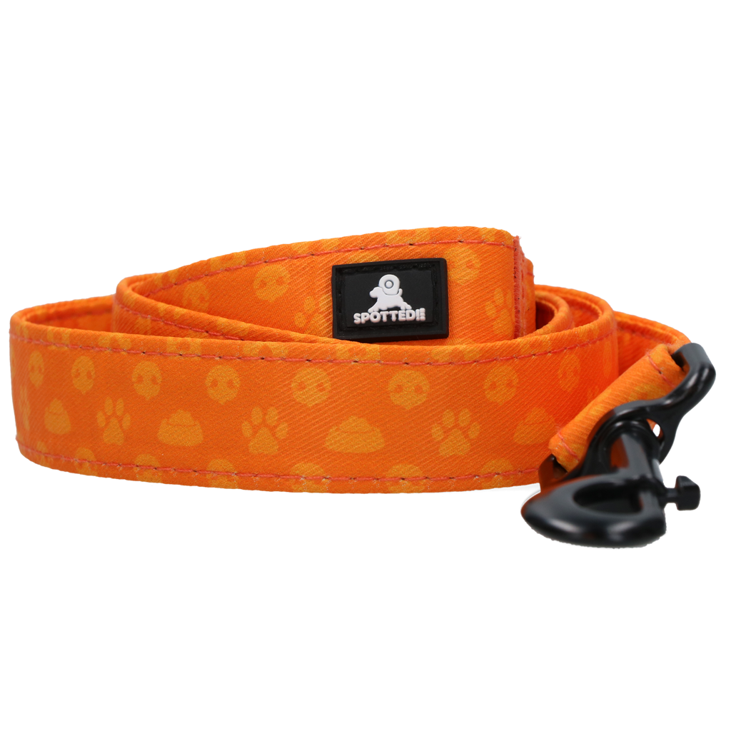 Spotted! Pro Hundeleine, Perfect Leash, 120 cm, Orange