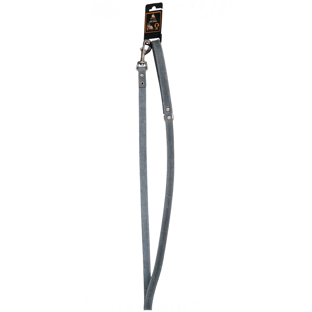 Spotted! Pro Hundeleine Leder, grau, 130 cm x 1,8 cm