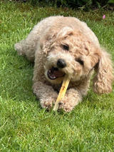 SwissCowers Käse-Snack mit Meeresalgen, Hund, 80 g
