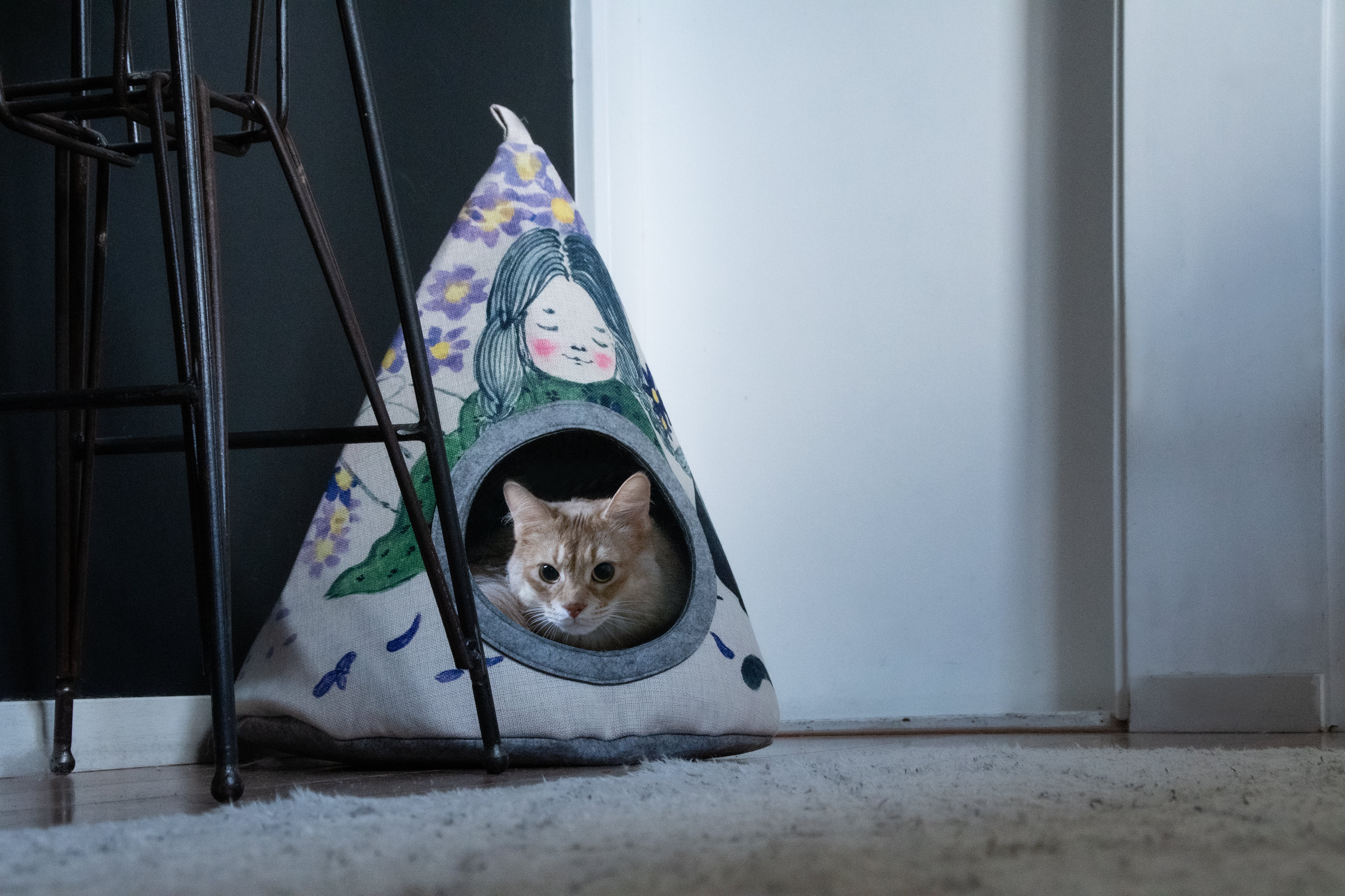Takara Katzen Tipi, Violet Flower, 42 x 56 cm, mit Kissen