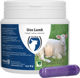 Excellent Uno Lamm Mineralbolus, für Lämmer ab 25 kg, 25 x 16 g