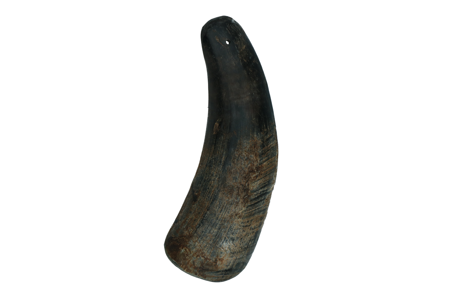 Kauhorn Rind, Größe L, für Hunde 5–15 kg