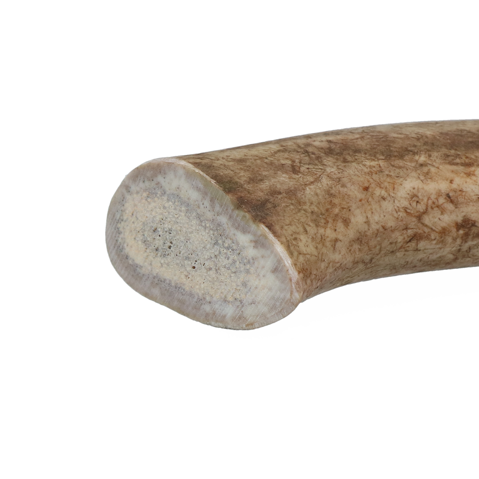 Viking Hundekauartikel Rothirschgeweih, Hard, XL, für Hunde ab 30 kg