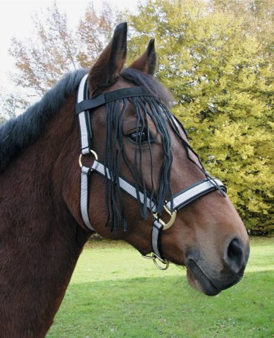 Fliegenfransenband, Full, Pony, Klettverschluss