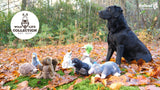 Hundespielzeug Ente, Plüsch, Quietscher, Wild Life Collection