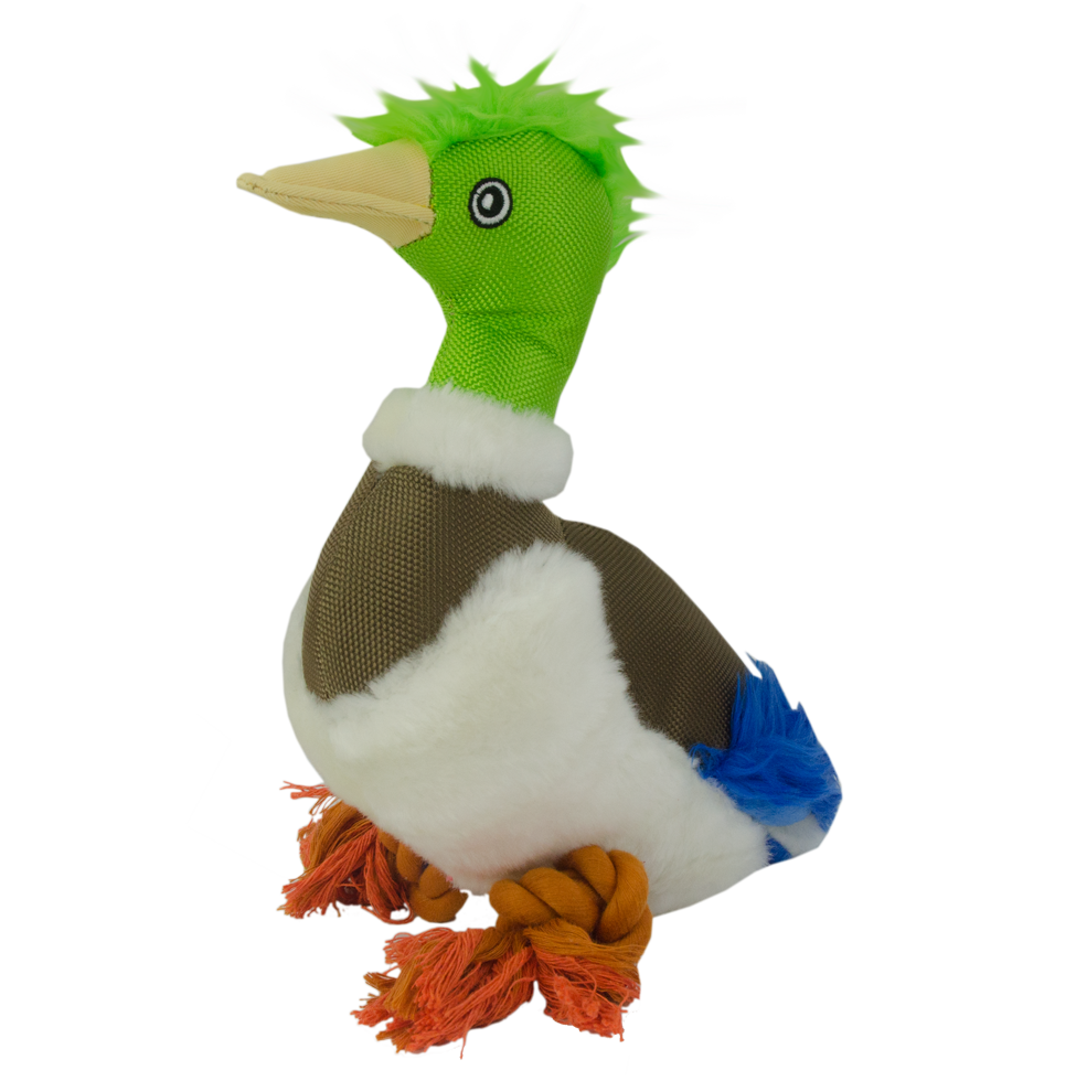 Hundespielzeug Ente, Plüsch, Quietscher, Wild Life Collection