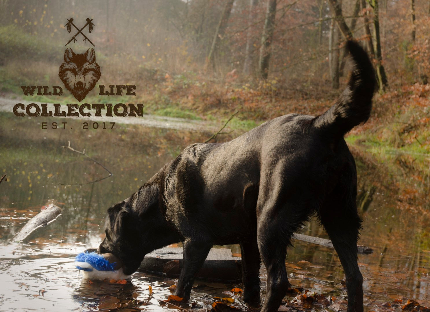 Hundespielzeug Ente, Plüsch, Quietscher, Wild Life Collection