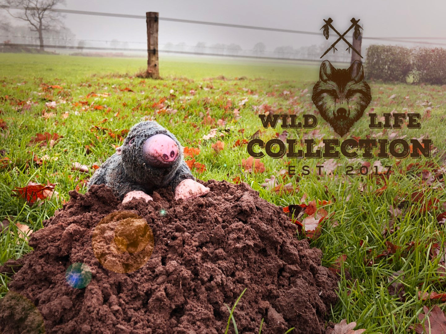 Hundespielzeug Maulwurf, Plüsch, mit Tau und Quietscher