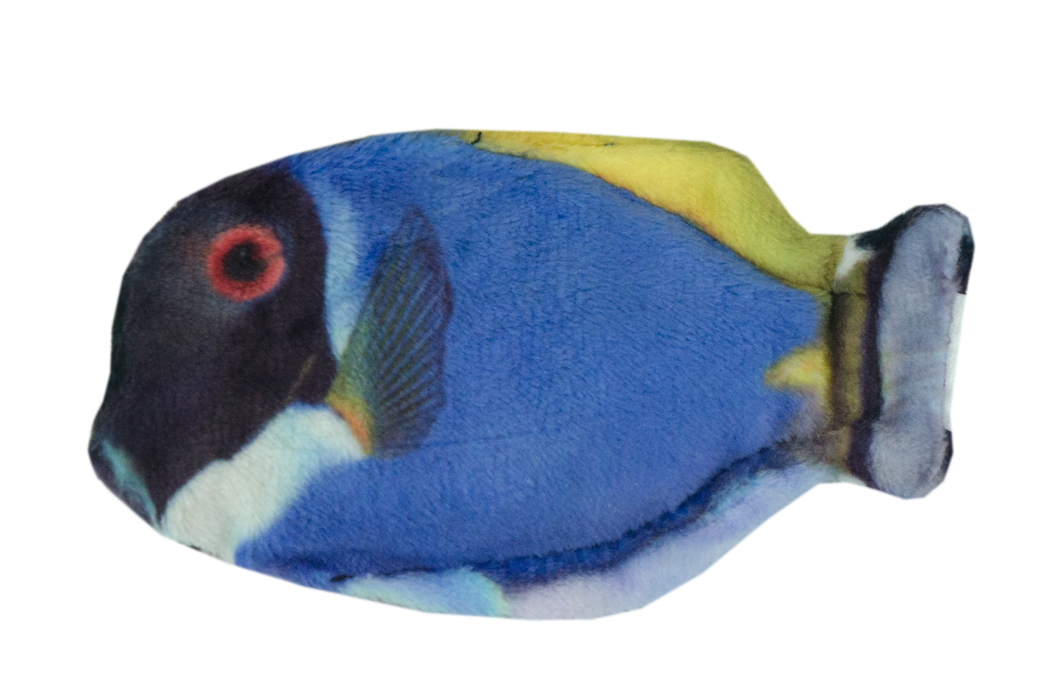 Wild Life Cat Katzenspielzeug, Blaue Doktorfisch, Katzenminze