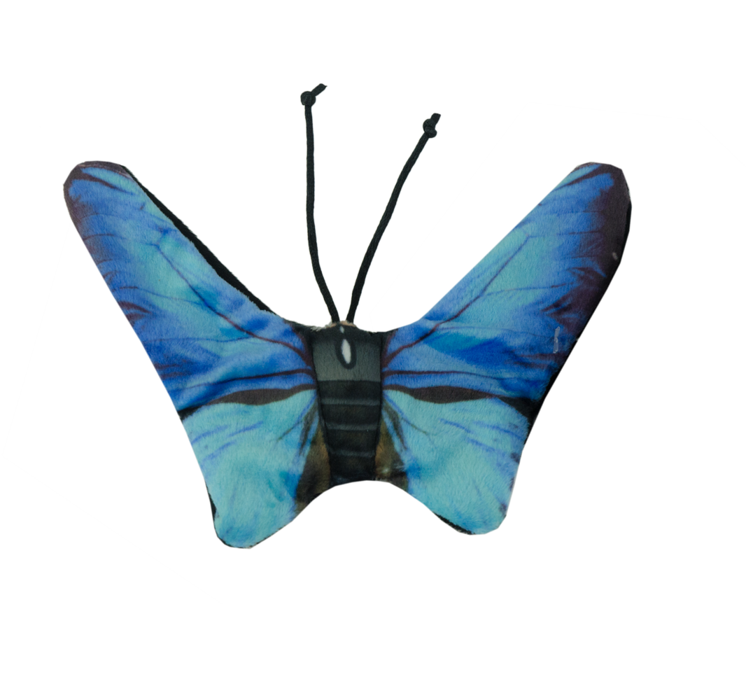 Wild Life Collection Katzenspielzeug, Blauer Schmetterling, Katzenminze