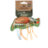 Katzenspielzeug Käfer, Katzenminze, Wild Life Cat