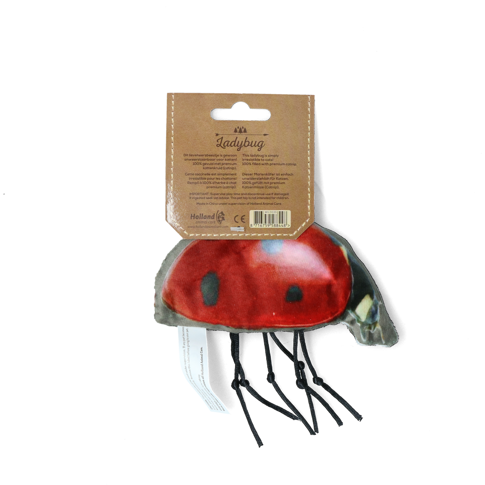 Wild Life Cat Katzenspielzeug Marienkäfer, Katzenminze