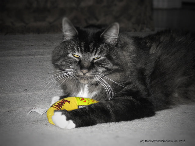 Yeowww!, Katzenspielzeug Banane, Katzenminze, 17,7 cm