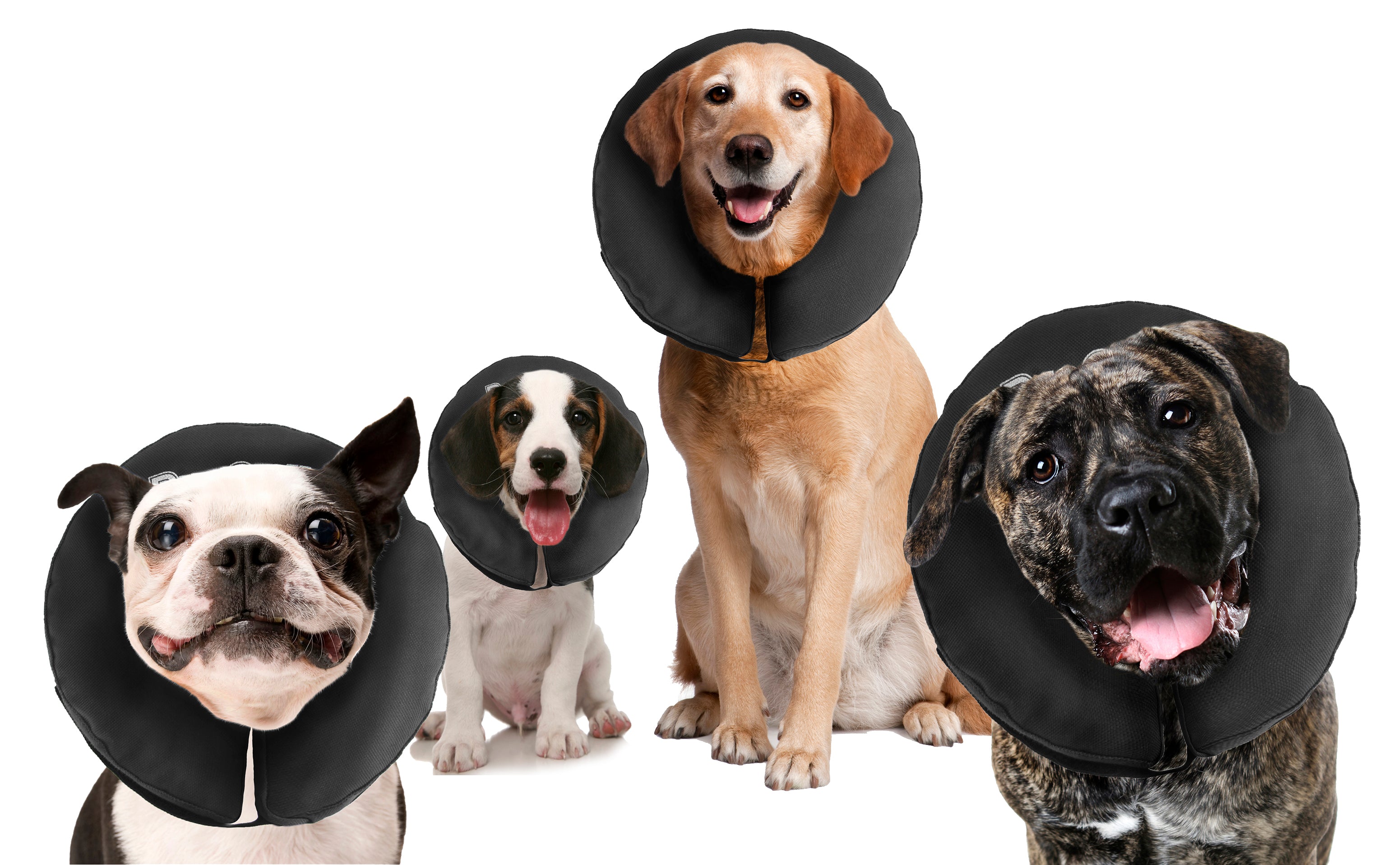 Zenpet ProCollar Schutzkragen / Halskrause für Hunde und Katzen